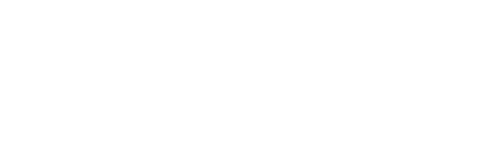 Precision Longevity Consultants