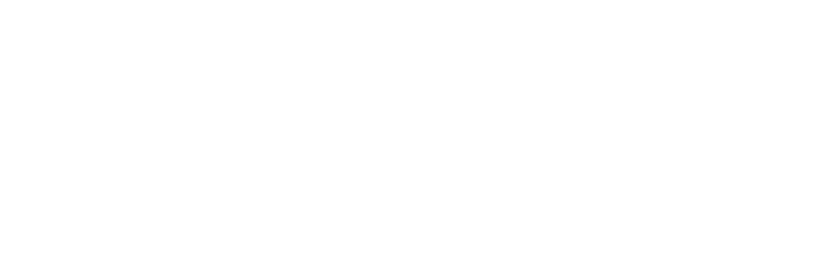Precision Longevity Consultants